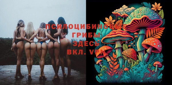 меф Медвежьегорск