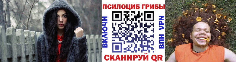 закладки  Пущино  гидра зеркало  Галлюциногенные грибы MAGIC MUSHROOMS 